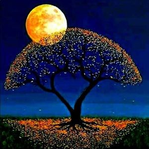 Meet your Posher, Carter